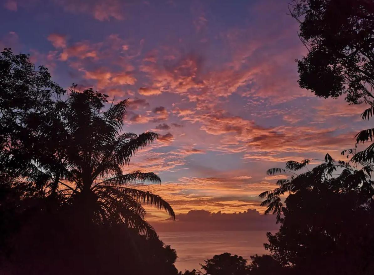 Mizaru Ocean View Hotel Manuel Antonio Quepos Esterno foto